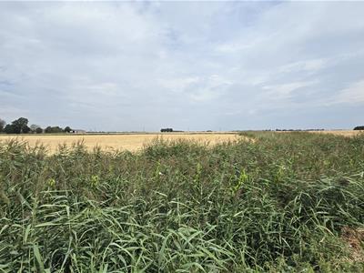 Picture 22
